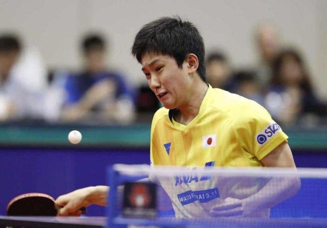 纪律化的回 纪律化的回