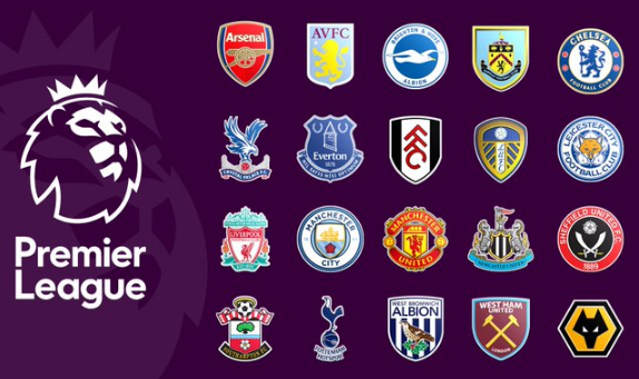 定性结论 定性结论